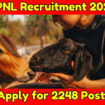 Bhartiya Pashupalan Nigam (BPNL) Recruitment 2024, Shikhar Bharat News