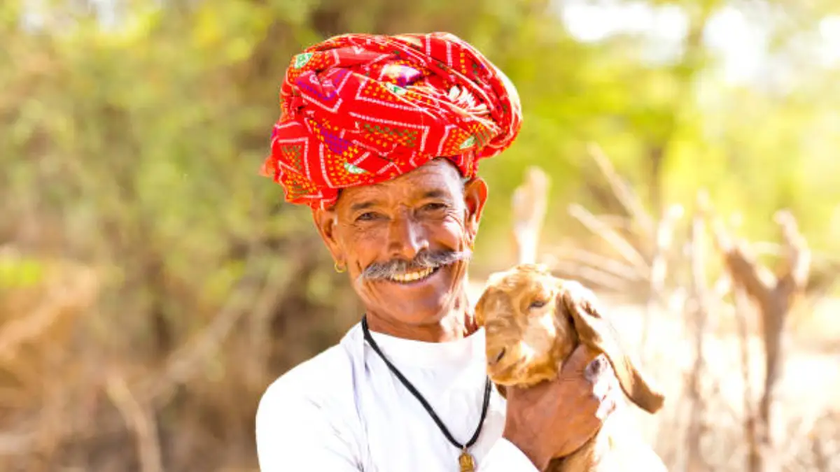 Bhartiya Pashupalan Nigam Recruitment